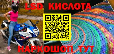 шишки Сертолово